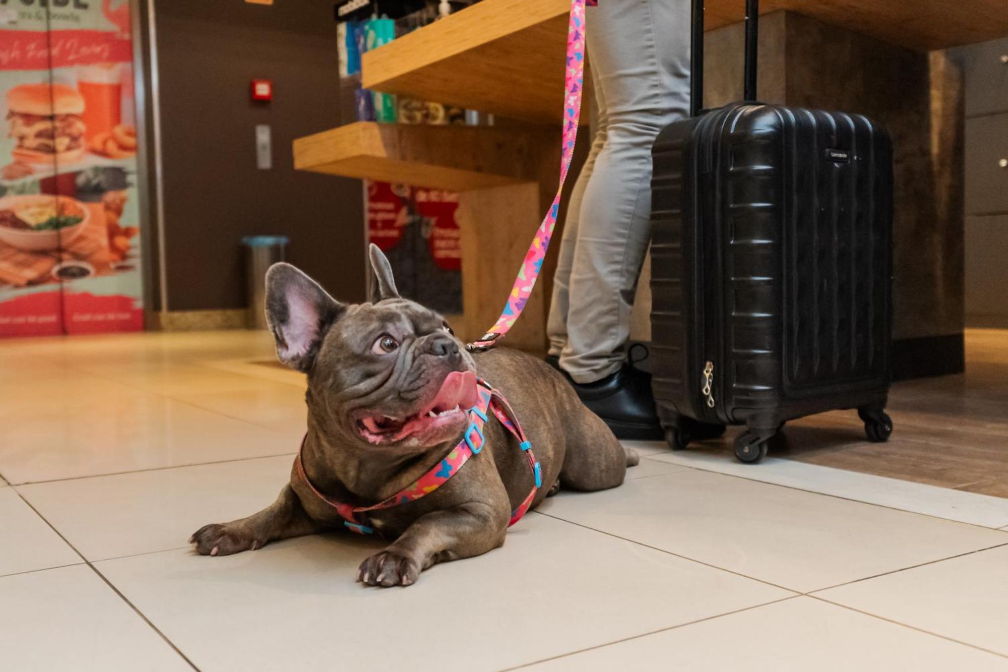 Ibis Porto Alegre Moinhos De Vento 호텔 외부 사진