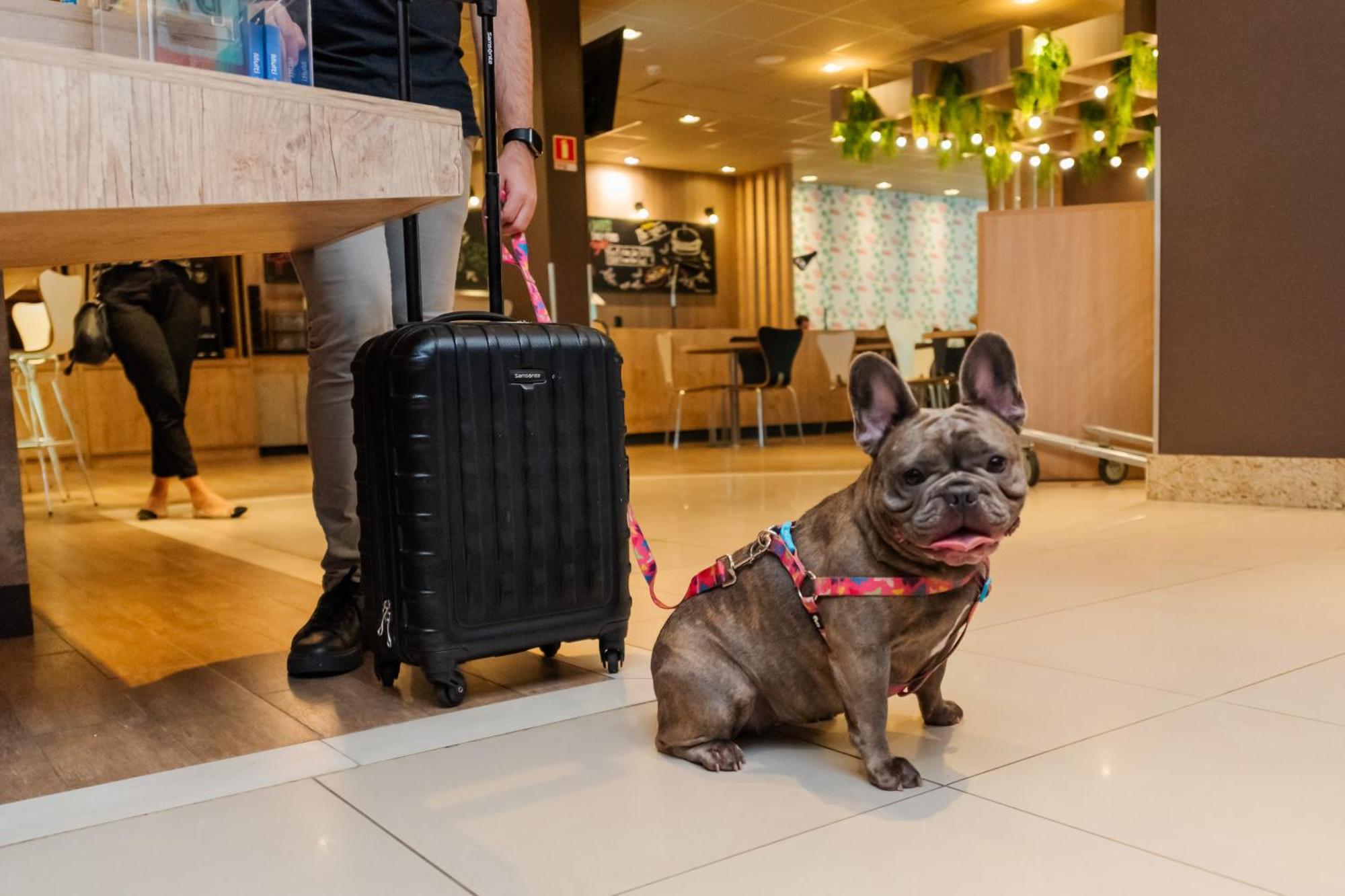 Ibis Porto Alegre Moinhos De Vento 호텔 외부 사진